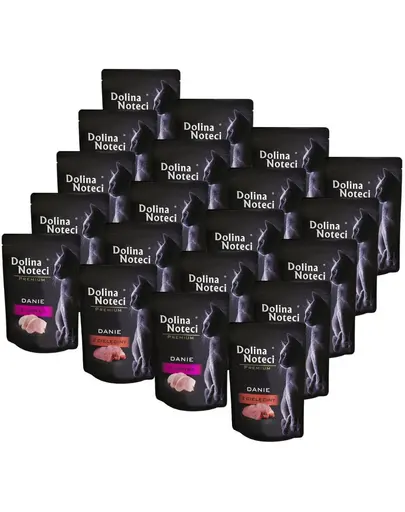 DOLINA NOTECI Premium Mix plicuri pisici 20x85 g vitel si curcan