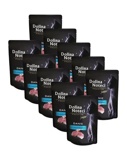 DOLINA NOTECI Premium Junior hrana pisici junior 10x85 g cu miel