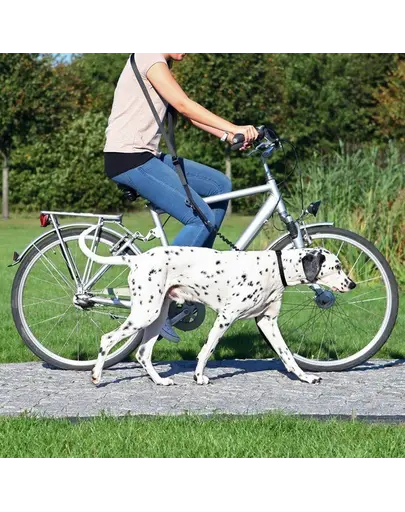 TRIXIE Lesa pentru bicicleta si jogging