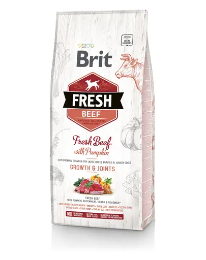 BRIT Fresh Puppy Large Hrana uscata catei talie mare cu vita si dovleac 2,5 kg
