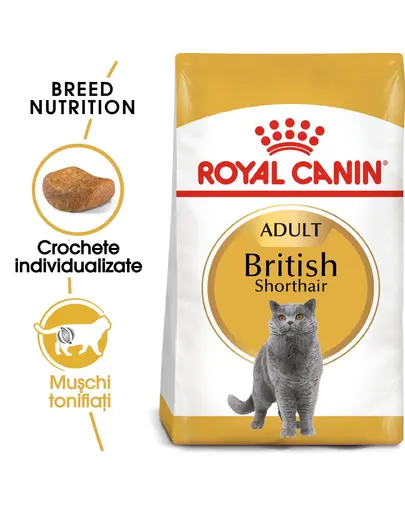 Royal Canin British Shorthair Adult hrana uscata pisica, 10 kg