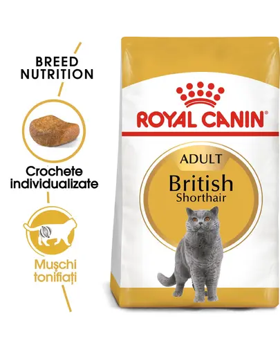 Royal Canin British Shorthair Adult Hrana Uscata Pisica British Shorthair 4 kg