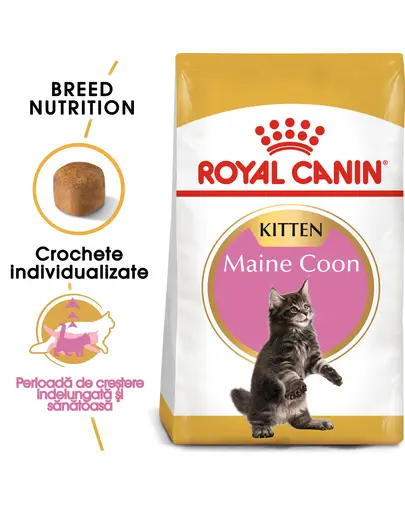 ROYAL CANIN Maine Coon Kitten hrana uscata pentru pisoi Maine Coon pana la varsta de 15 luni 20 kg (2 x 10 kg)