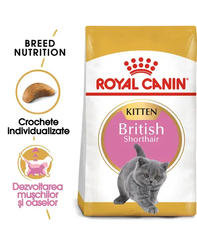 ROYAL CANIN Kitten British Shorthair 20 kg (2 x 10 kg) hrana uscata pentru pisoi British Shorthair de pana la 12 luni