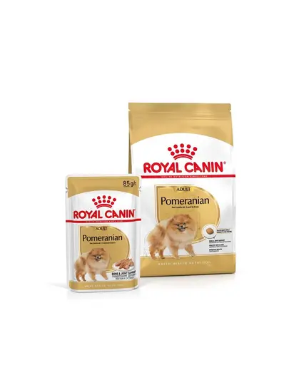 ROYAL CANIN Pomeranian Adult 1.5 kg hrana uscata pentru Caini mini spitz adulti + hrana umeda 12x85g