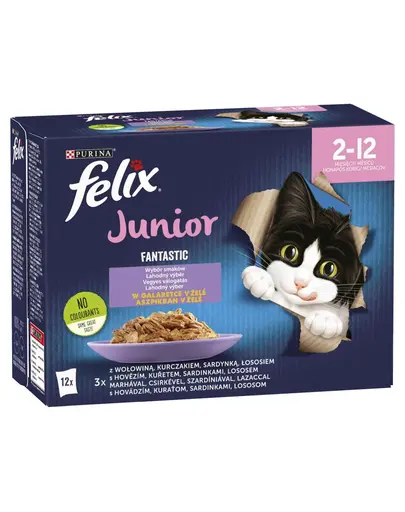 FELIX FANTASTIC Junior Mix Hrana umeda cu diverse tipuri de peste pentru pisici junior 12x85g