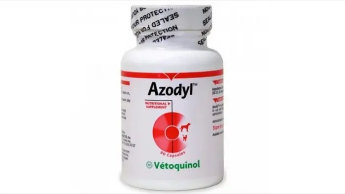 Azodyl 90 capsule