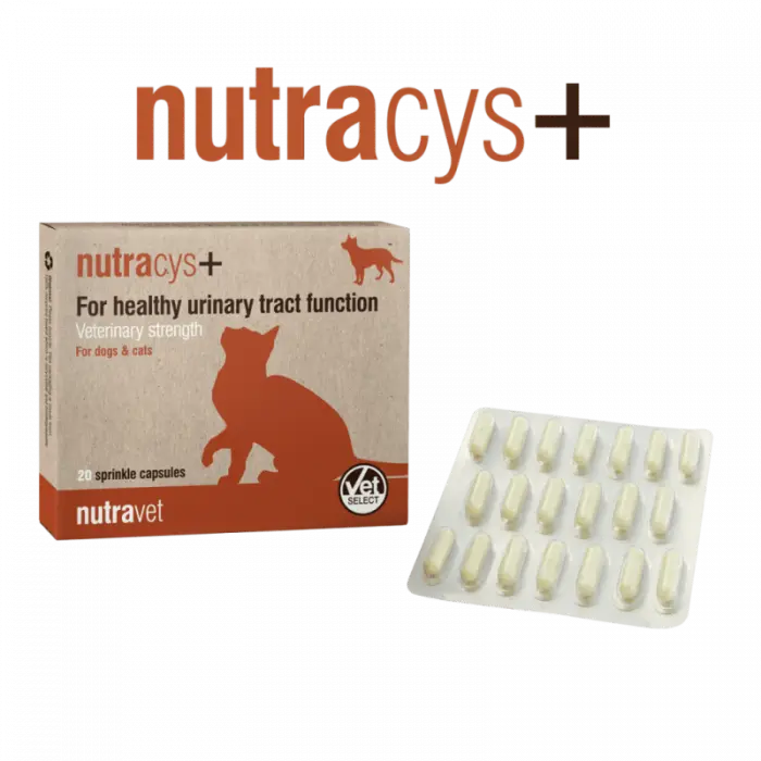 Nutravet  Nutracys+ (Nutraease) 20 cps - caini si pisici