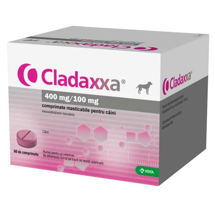 Cladaxxa 400mg 100mg 6 comprimate masticabile