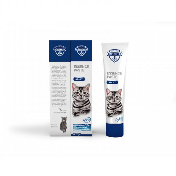 Essence Paste Adult, supliment nutritiv, tub x 100 g