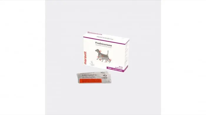 Prednicortone 20 mg, 250 tablete