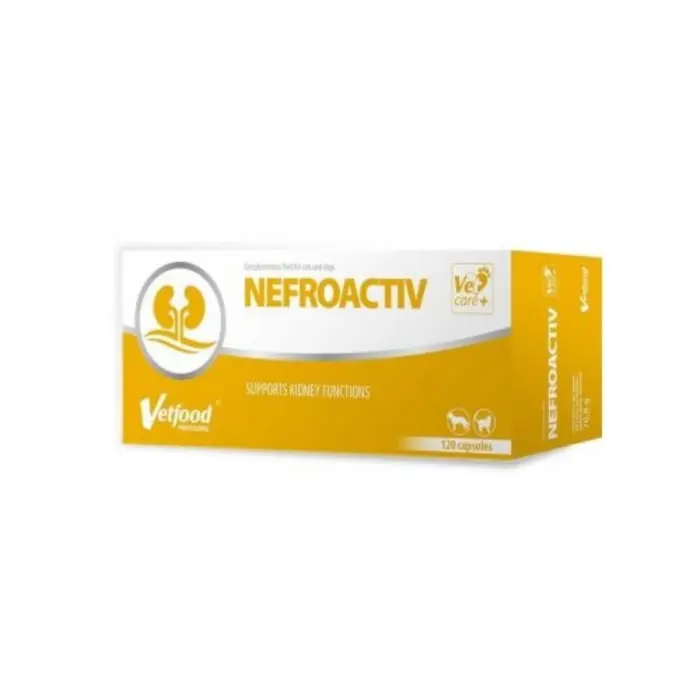 NefroActiv, 120 capsule