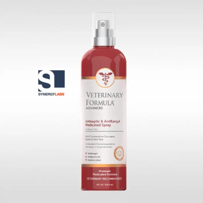 Spray Antiseptic  Antifungic, Synergy Labs, 237ml