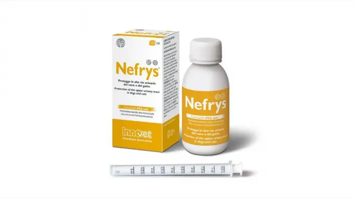 Nefrys, 100 ml