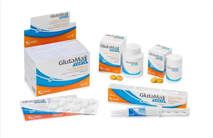 GlutaMax Forte Caine suport pentru functia hepatica - 120 Comprimate