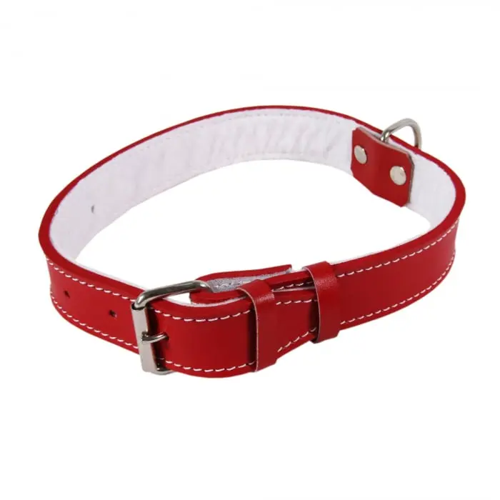 Zgarda Piele Tip 14 (36 cm  14 mm) Cu Pasla - Rosu