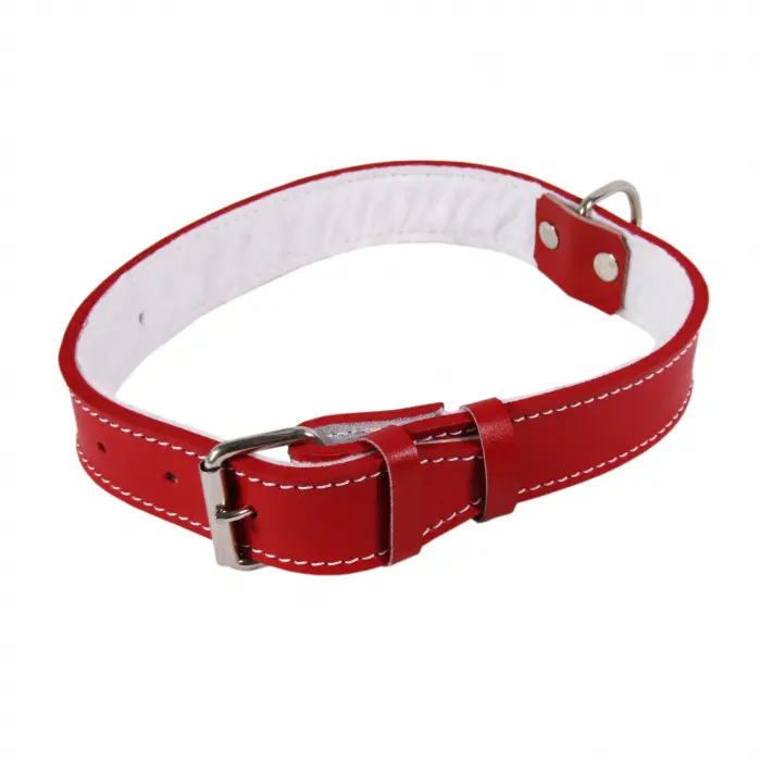 Zgarda Piele Tip 30 (65 Cm 30 Mm) Cu Pasla - Rosu