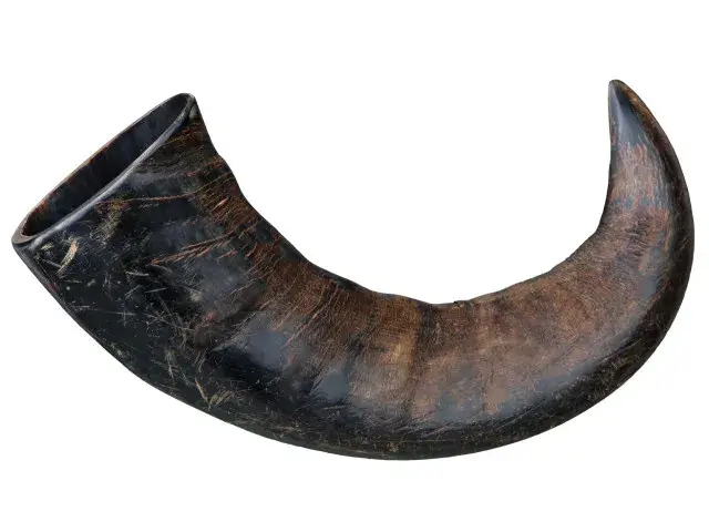 Corn natural de bivol pentru caini Trixie