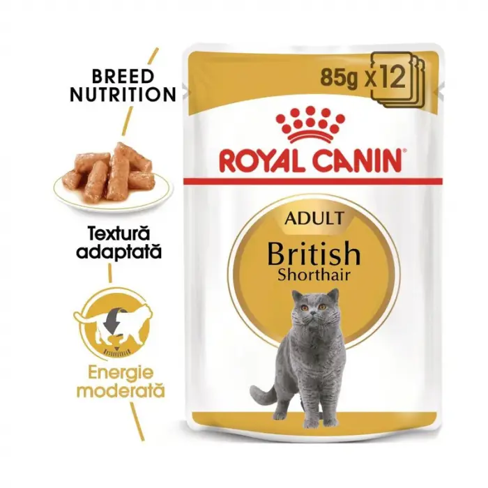 Hrana umeda pentru pisici Royal Canin British Shorthair Adult 85 gr