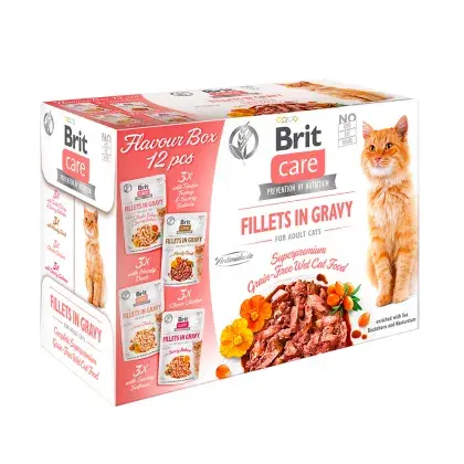 Set 12 buc x Hrana umeda pentru pisici Brit Care Flavour Fillet in Gravy 85 gr