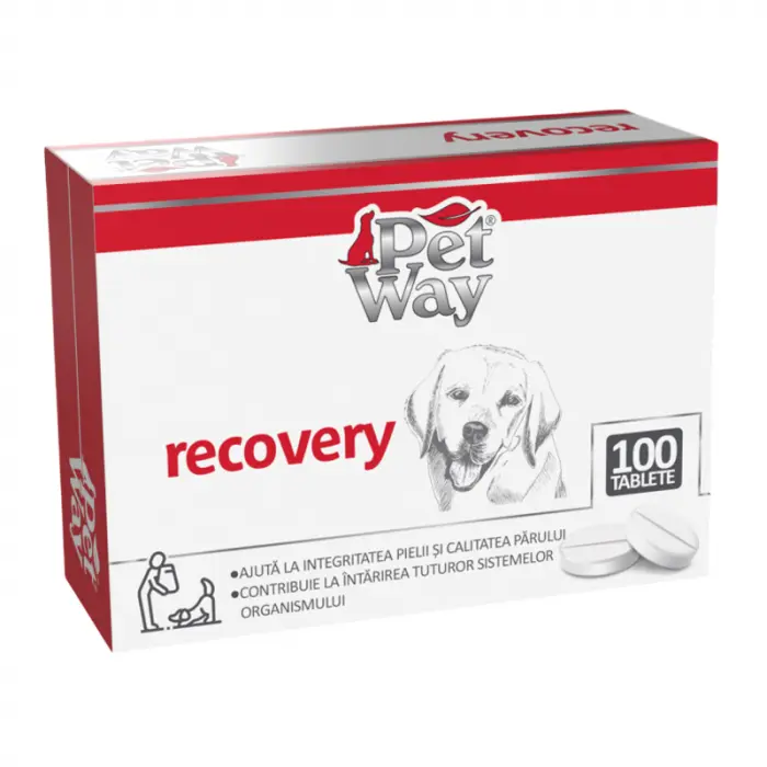 Supliment imunitar pentru caini Pet Way Recovery 100 buc