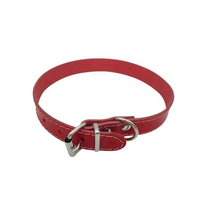 Zgarda din piele pentru caini Nr. 2 Petro 1,9 x 45 cm