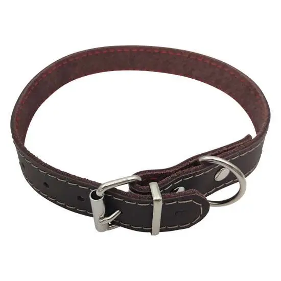 Zgarda din piele pentru caini Nr. 3 Petro Maro 2,3 x 50 cm