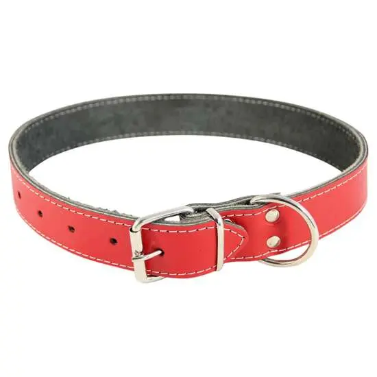 Zgarda din piele pentru caini Nr. 6 Petro Rosie 4 x 75 cm