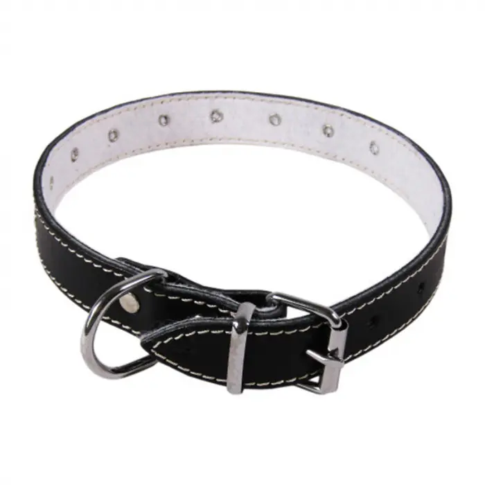 Zgarda pentru caini neagra L3 2,5 53 cm