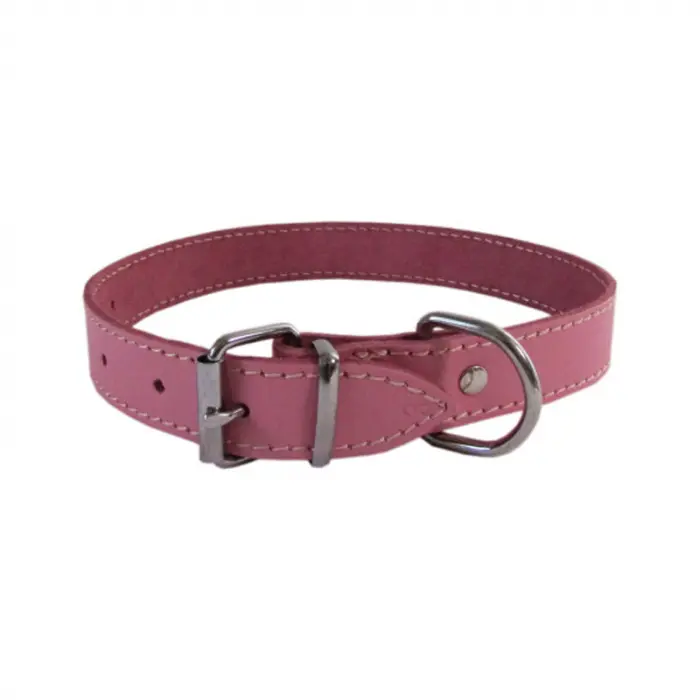 Zgarda pentru caini roz L3 2,5 53 cm