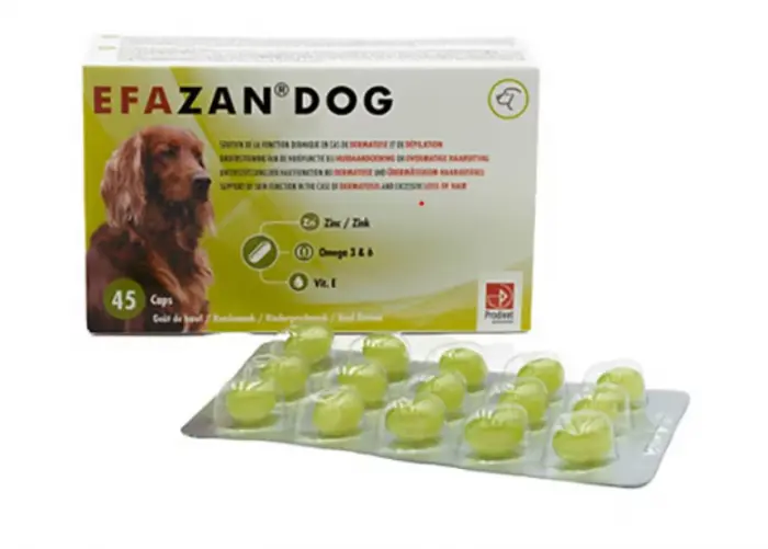 Supliment nutritiv Efazan Dog, Sustine functia pielii, 45 tablete