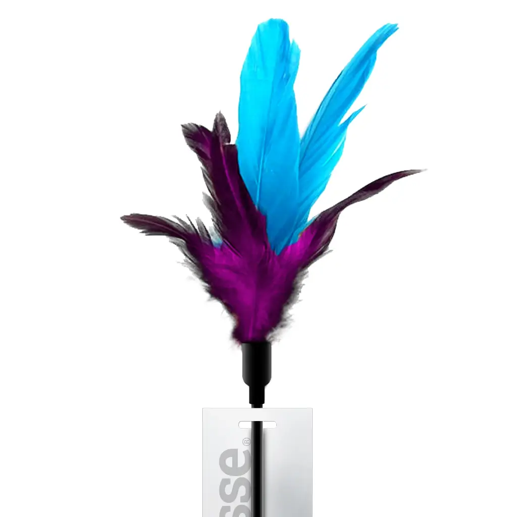 JUCARIE PENTRU PISICI | Jucarie pentru pisici cu pene colorate si clopotel.