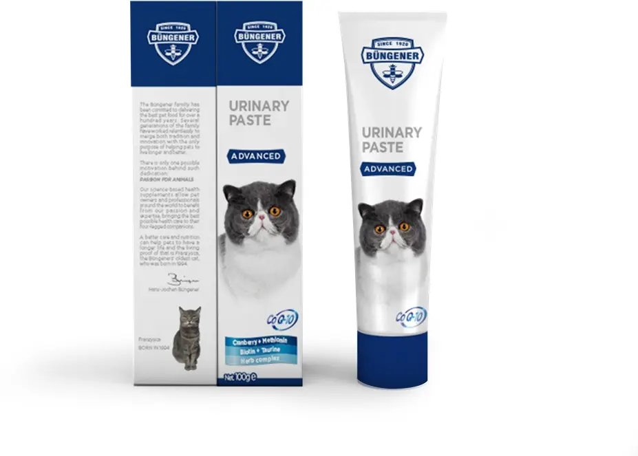 ADVANCED PASTA PENTRU SISTEM URINAR PISICI - 100 G