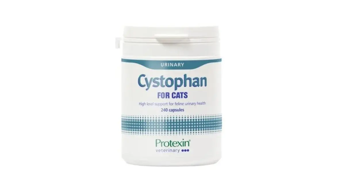 CYSTOPHAN FOR CATS PISICI - 240 CAPSULE