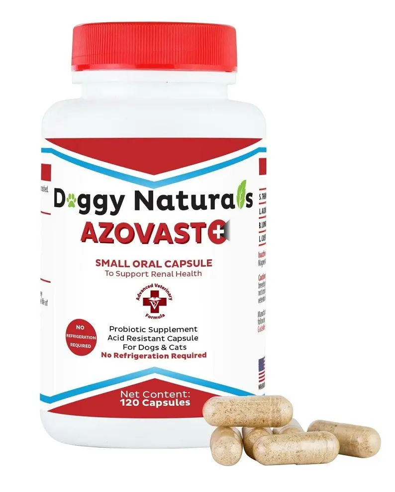AZOVAST PLUS - 120 CAPSULE