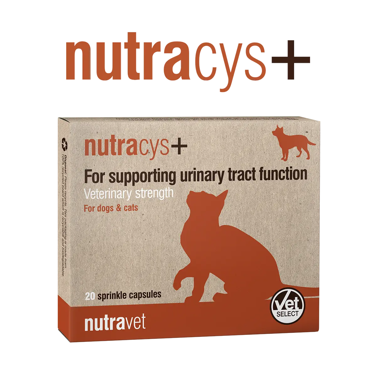 Nutracys + - 20 Capsule ( NUTRAEASE)