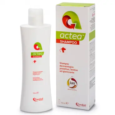 ACTEA SHAMPOO SAMPON DERMATOLOGIC - 150 ML