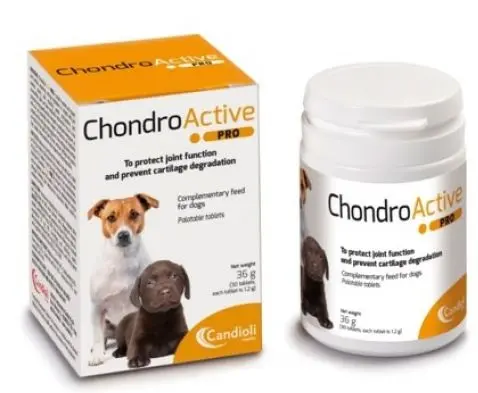 CHONDRO ACTIVE PRO - 90 TABLETE