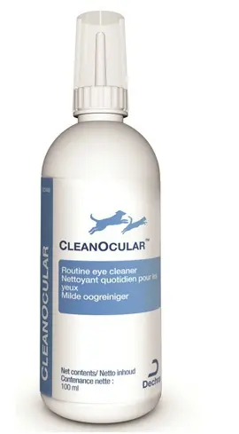 CLEAN OCULAR - 100 ML