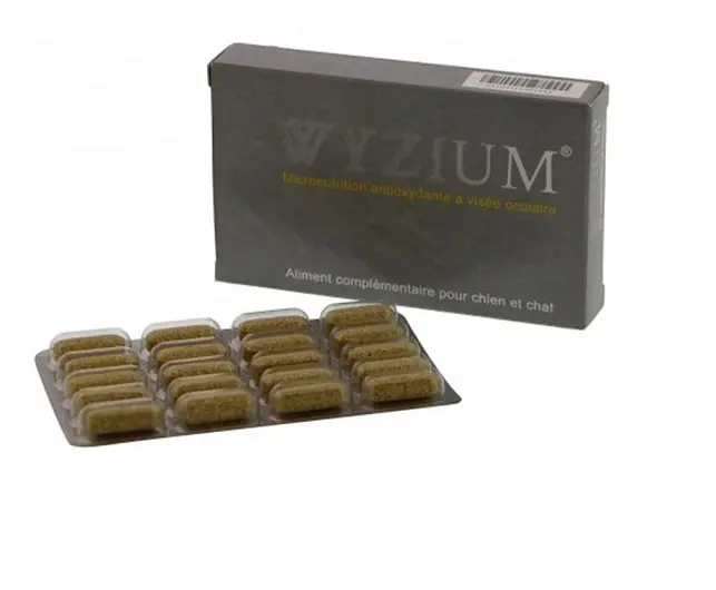 WYZIUM - 40 COMPRIMATE
