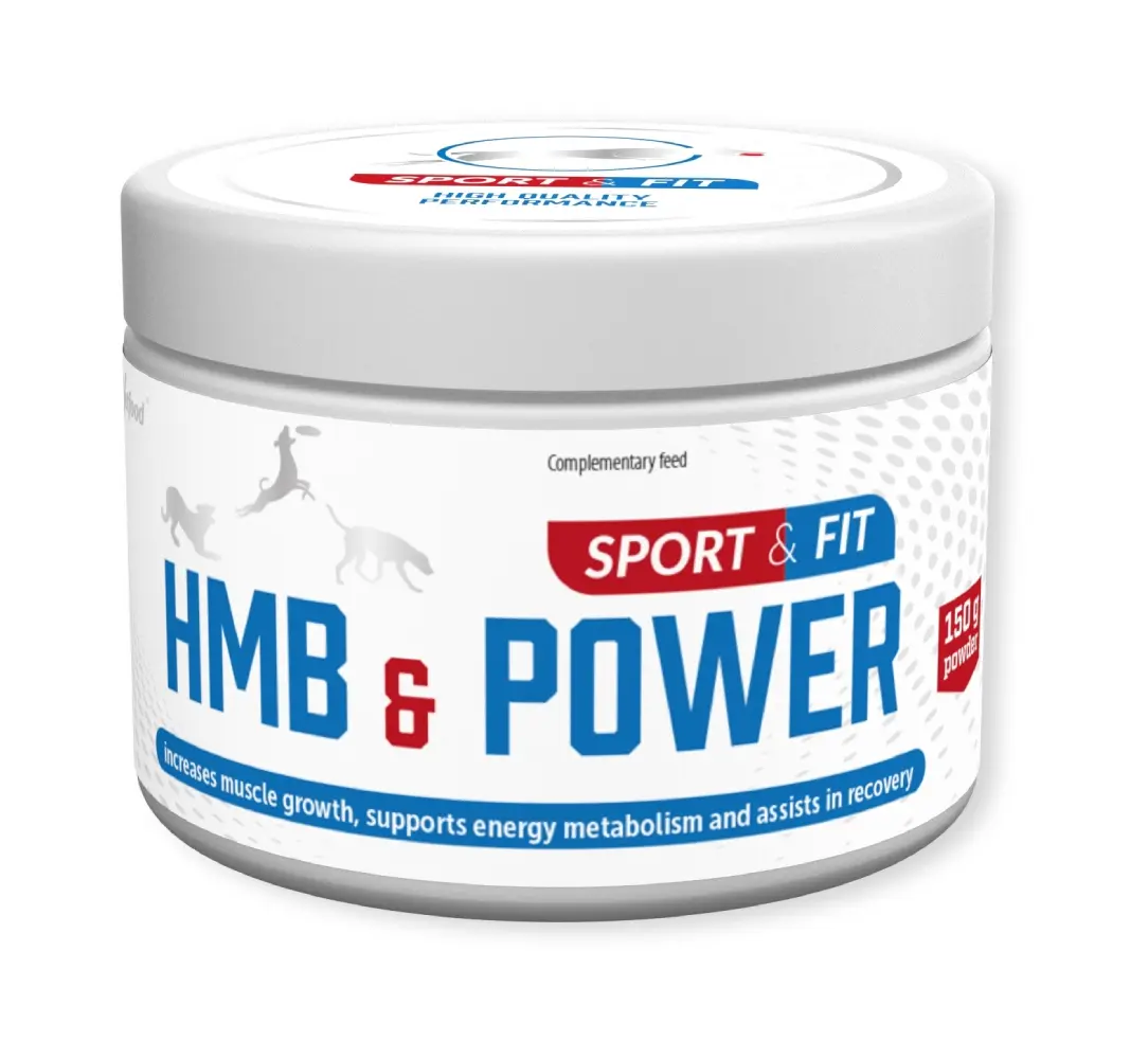 HMB &amp; POWER - 150 g