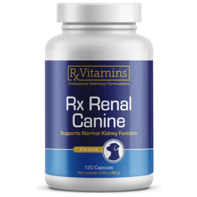 RX Renal Caine 120 capsule