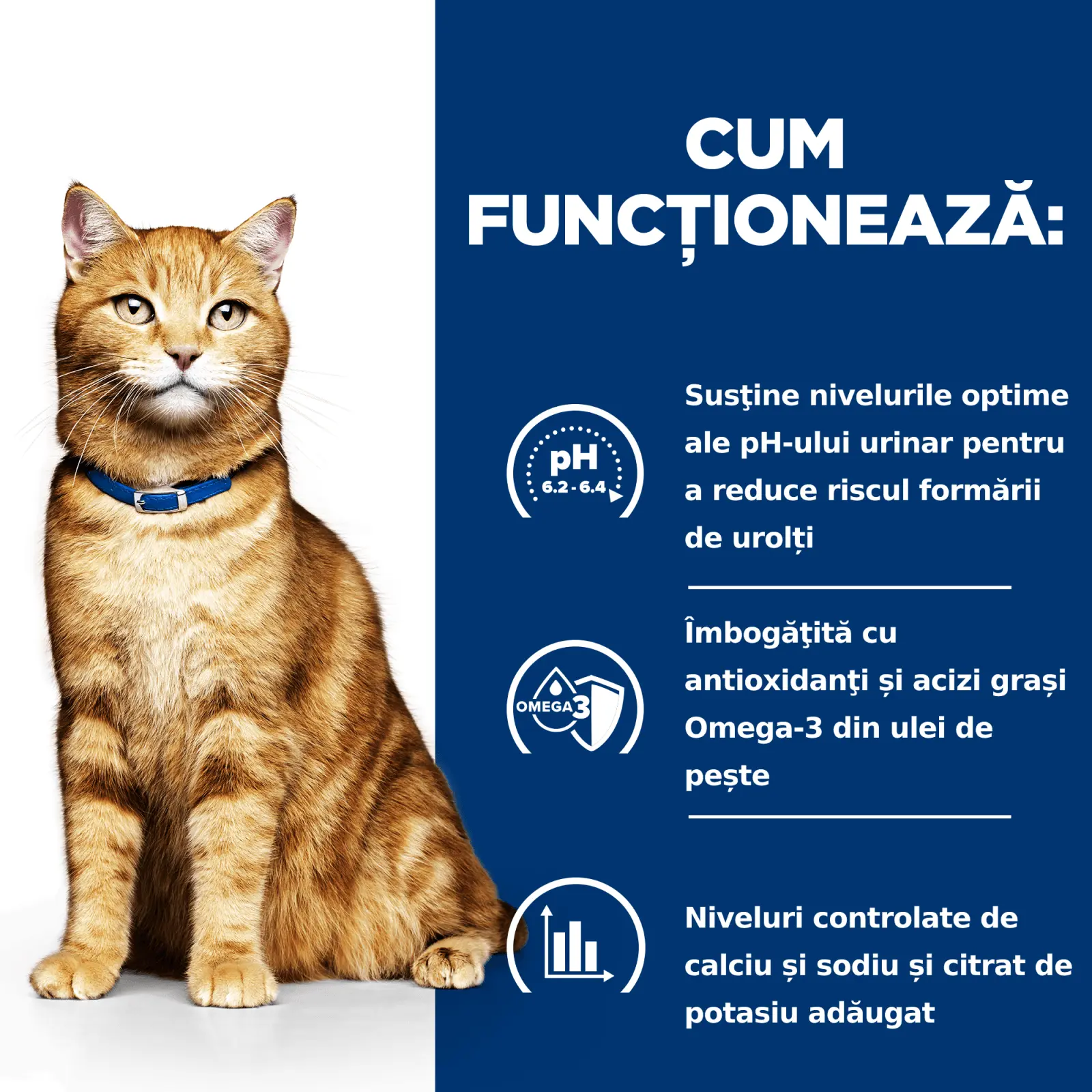 HILL'S Prescription Diet c/d Urinary, Pui, dieta veterinara pisici, hrana uscata, afectiuni urinare HILL'S Prescription Diet c/d Urinary, Pui, dieta veterinara pisici, hrana uscata, sistem urinar, 3kg - Image 8