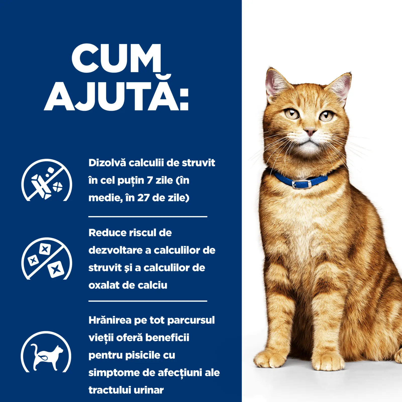 HILL'S Prescription Diet c/d Urinary, Pui, dieta veterinara pisici, hrana uscata, afectiuni urinare HILL'S Prescription Diet c/d Urinary, Pui, dieta veterinara pisici, hrana uscata, sistem urinar, 3kg - Image 10