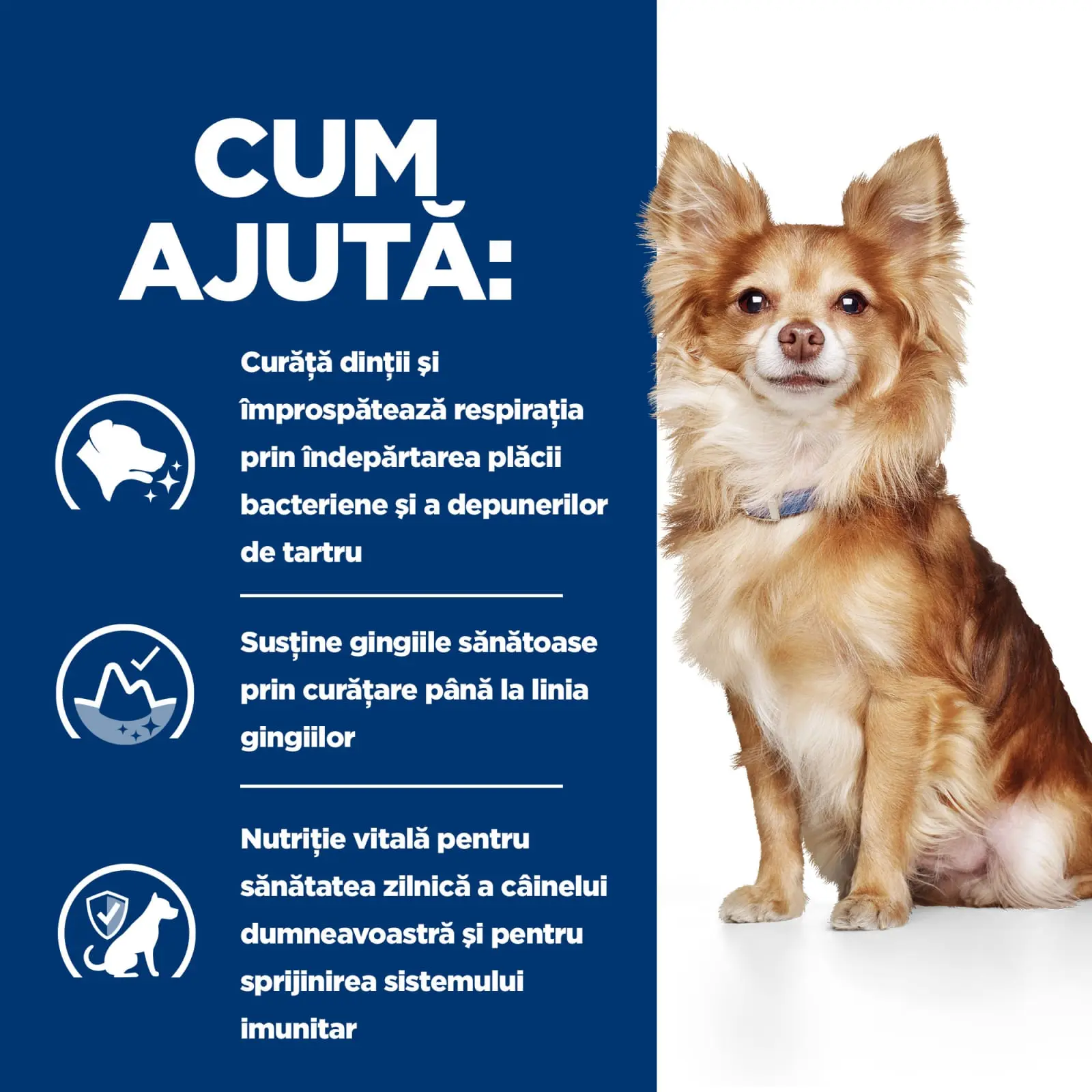 HILL'S Prescription Diet t/d Dental Care Mini, Pui, dieta veterinara caini, hrana uscata, sensibilitati dentare, 3kg - Image 8