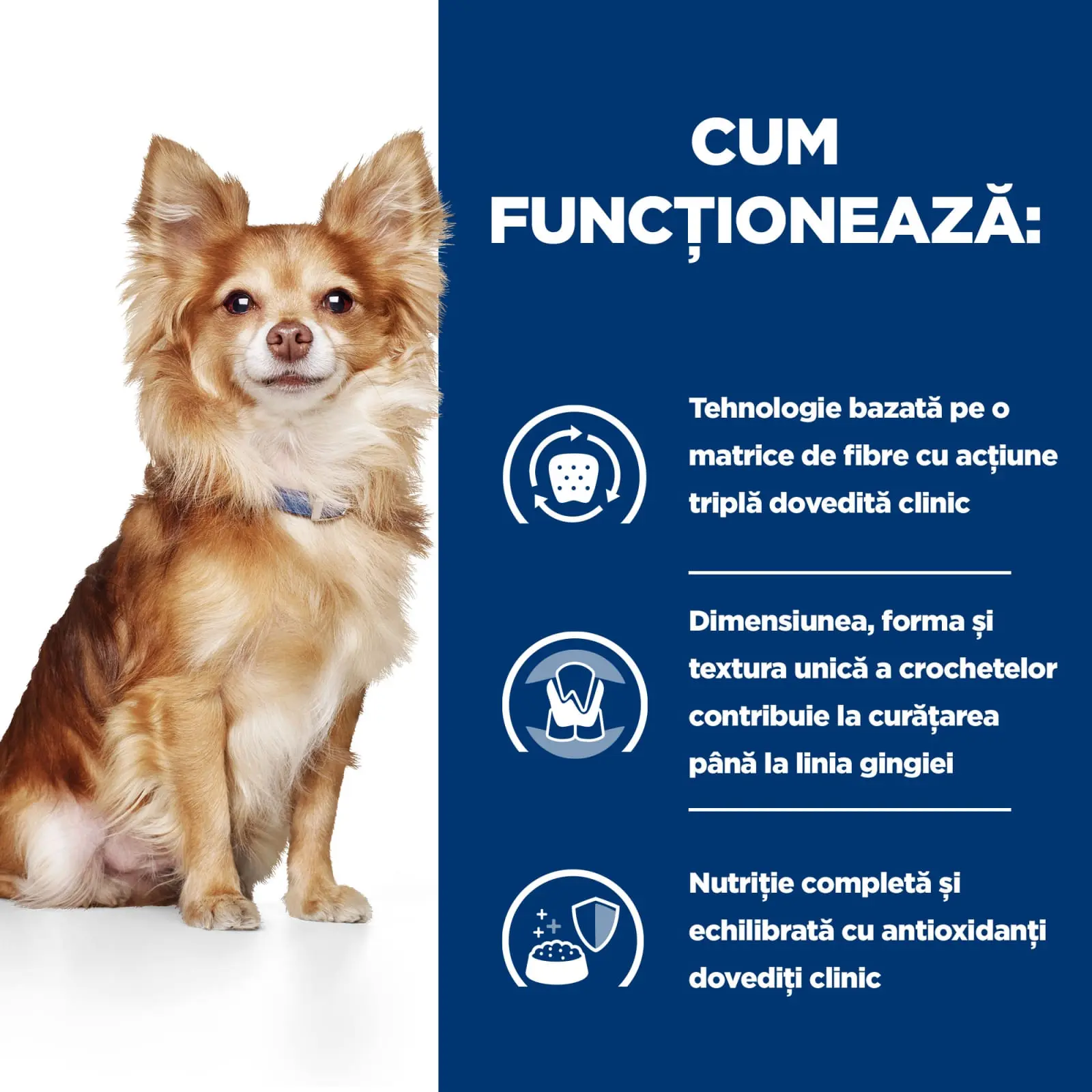 HILL'S Prescription Diet t/d Dental Care Mini, Pui, dieta veterinara caini, hrana uscata, sensibilitati dentare, 3kg - Image 9