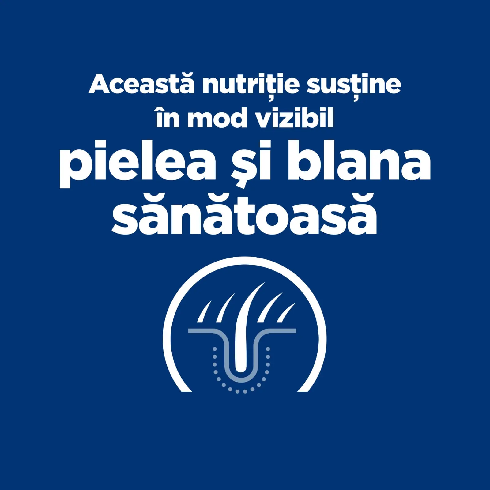 HILL'S Prescription Diet z/d Food Sensitivities, dieta veterinara caini, conserva hrana umeda, piele & blana, sistem digestiv, (in sos), 370g HILL'S Prescription Diet z/d Food Sensitivities, dieta veterinara caini, conserva hrana umeda, piele & blana, si - Image 6