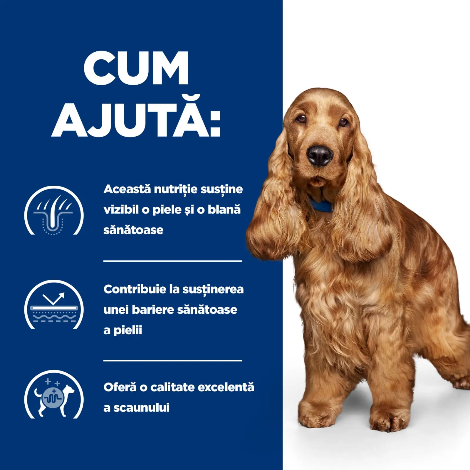 HILL'S Prescription Diet z/d Food Sensitivities, dieta veterinara caini, conserva hrana umeda, piele & blana, sistem digestiv, (in sos), 370g HILL'S Prescription Diet z/d Food Sensitivities, dieta veterinara caini, conserva hrana umeda, piele & blana, si - Image 7