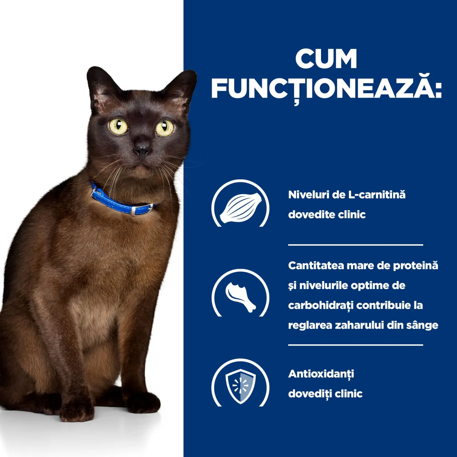 HILL'S Prescription Diet m/d Diabetes Care, Pui, dieta veterinara pisici, conserva hrana umeda, metabolism (obezitate si diabet), (in sos), 156g - Image 9