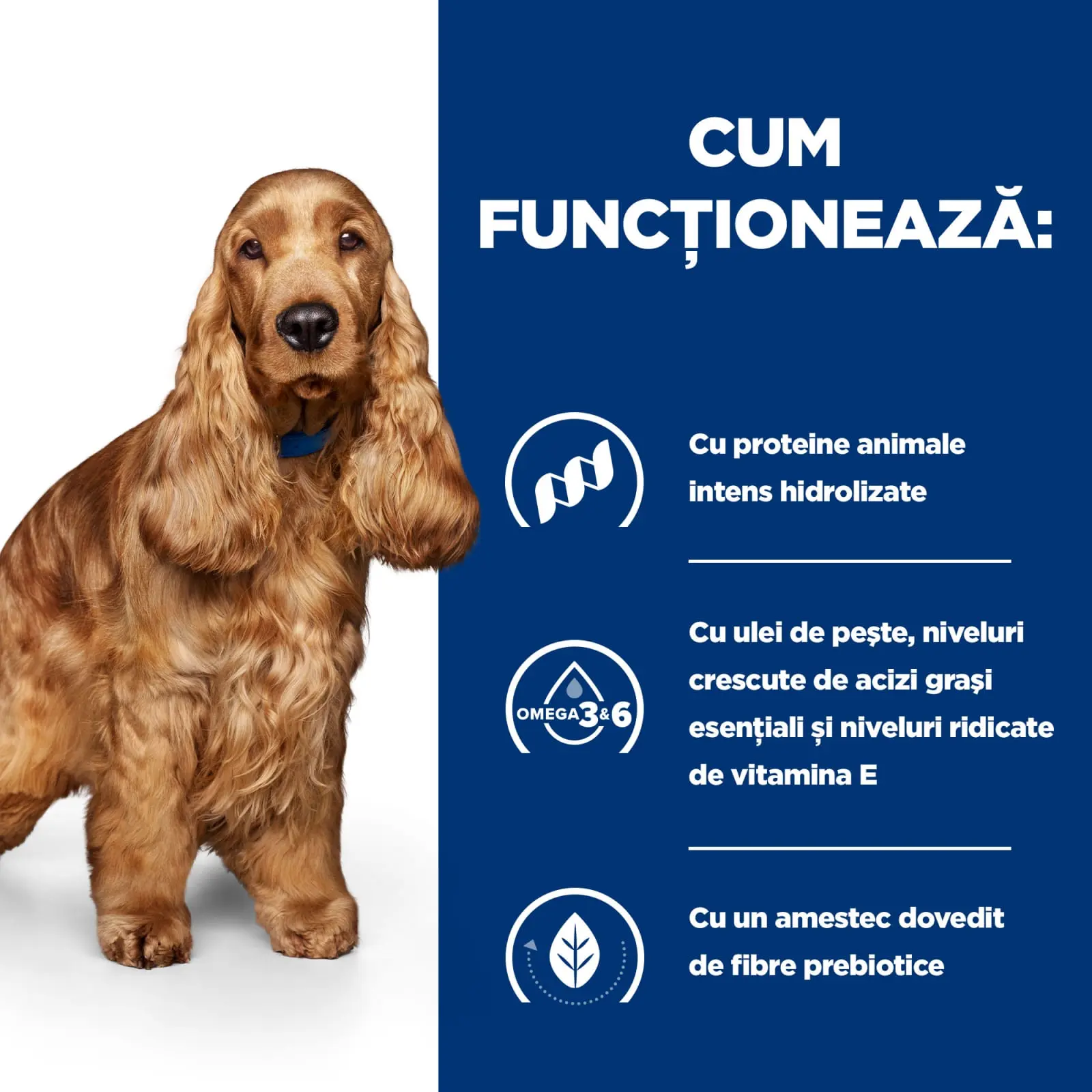 HILL'S Prescription Diet z/d Food Sensitivities, dieta veterinara caini, conserva hrana umeda, piele & blana, sistem digestiv, (in sos), 370g HILL'S Prescription Diet z/d Food Sensitivities, dieta veterinara caini, conserva hrana umeda, piele & blana, si - Image 10